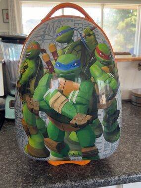 Teenage Mutant Ninja Turtles Kids Backpack Case - Green with Colored Masks